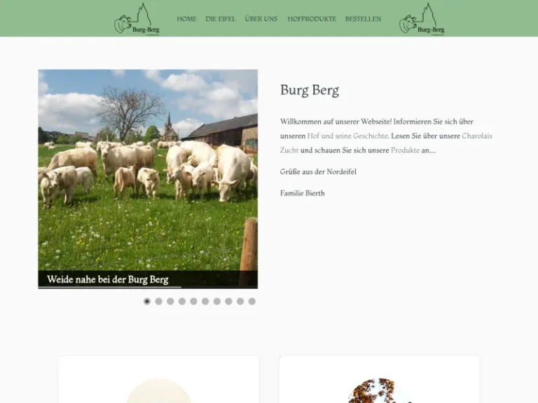 Burg Berg - Nordrhein-Westfalen in Mechernich