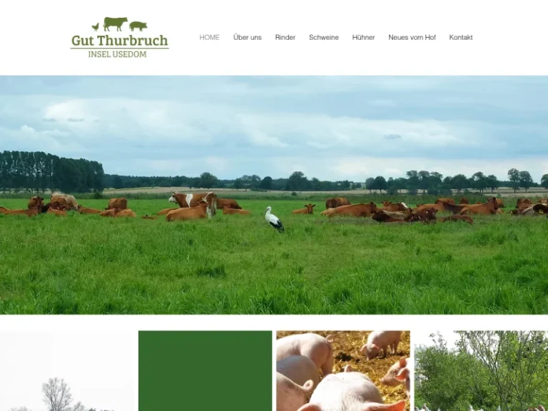 Gut Thurbruch GmbH - Mecklenburg-Vorpommern in Benz