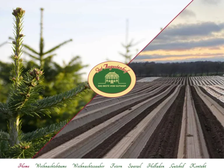 Gut Augustenhof - Schleswig-Holstein in Osdorf