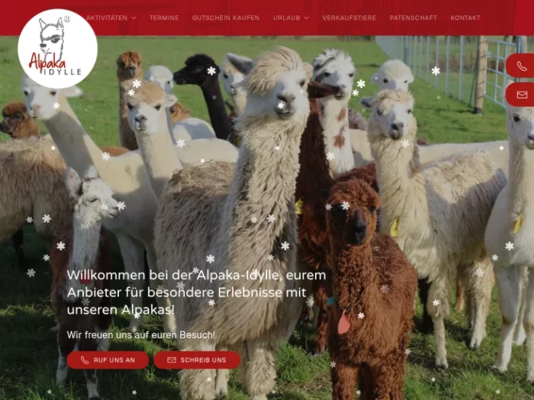 Alpaka Idylle - Mecklenburg-Vorpommern in Rubkow
