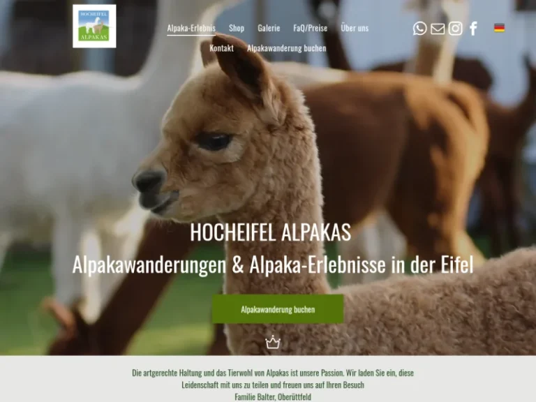 Hocheifel Alpakas - Rheinland-Pfalz in Üttfeld