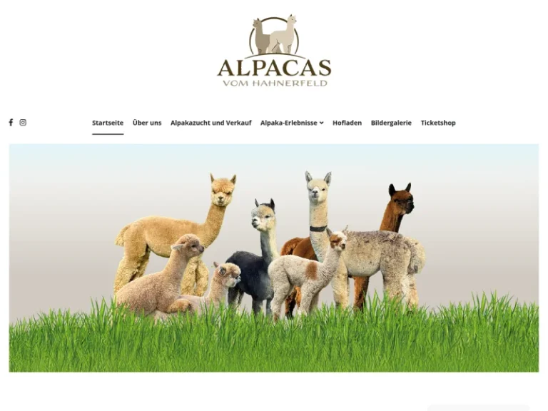 Alpacas vom Hahnerfeld - Nordrhein-Westfalen in Isselburg