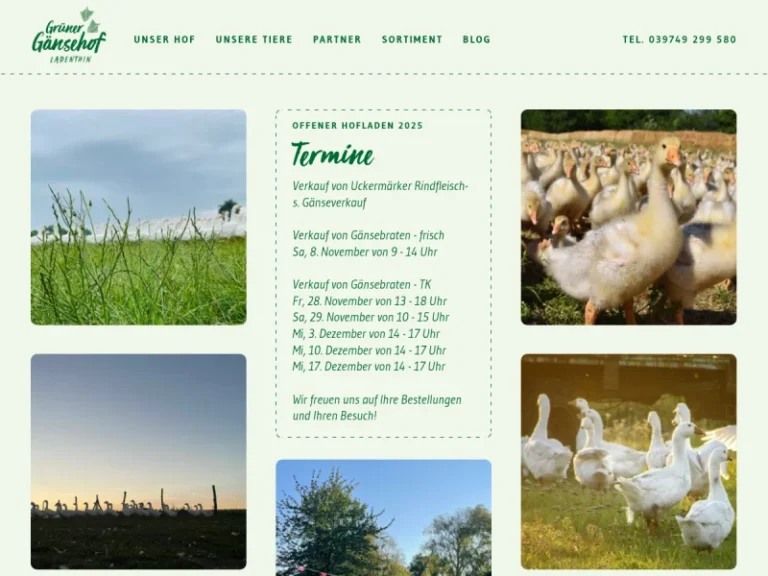 Grüner Gänsehof Ladenthin - Mecklenburg-Vorpommern in Grambow