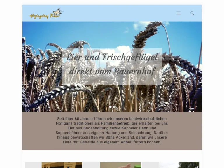 Geflügelhof Bauer, Eierautomat - Rheinland-Pfalz in Kappel