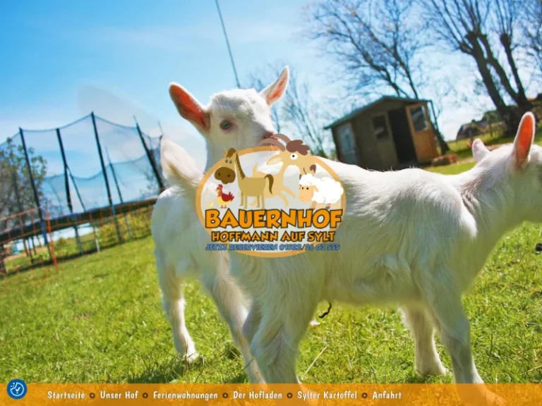 Bauernhof Hoffmann - Schleswig-Holstein in Sylt