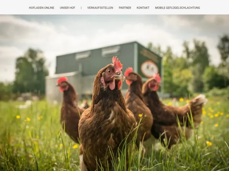 Hof Schneider - Nordrhein-Westfalen in Netphen