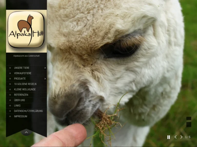 Alpaka Hill - Nordrhein-Westfalen in Mettingen