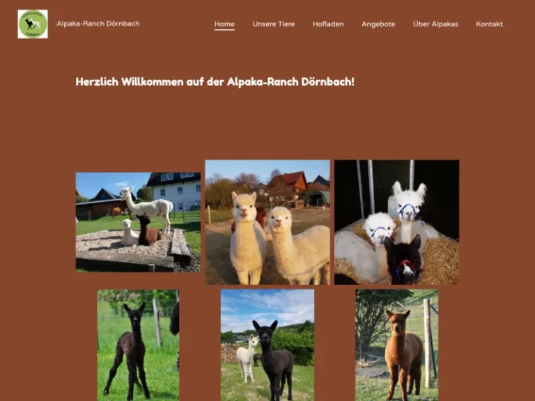 Alpakaranch Dörnbach - Nordrhein-Westfalen in Erndtebrück