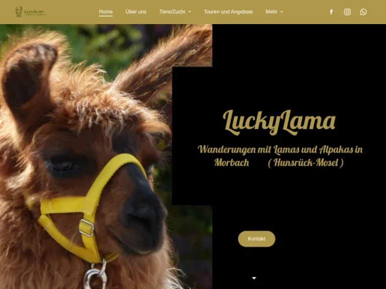Lama und Alpaka Wanderungen/Hofladen rund ums Alapka und Lama Morbach (LuckyLama) - Rheinland-Pfalz in Morbach