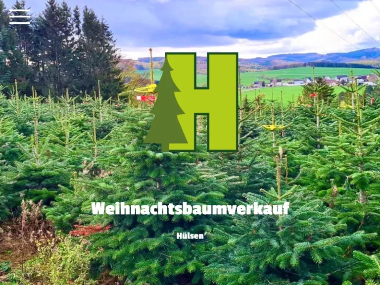 Weihnachtsbäume Hülsen - Nordrhein-Westfalen in Dortmund