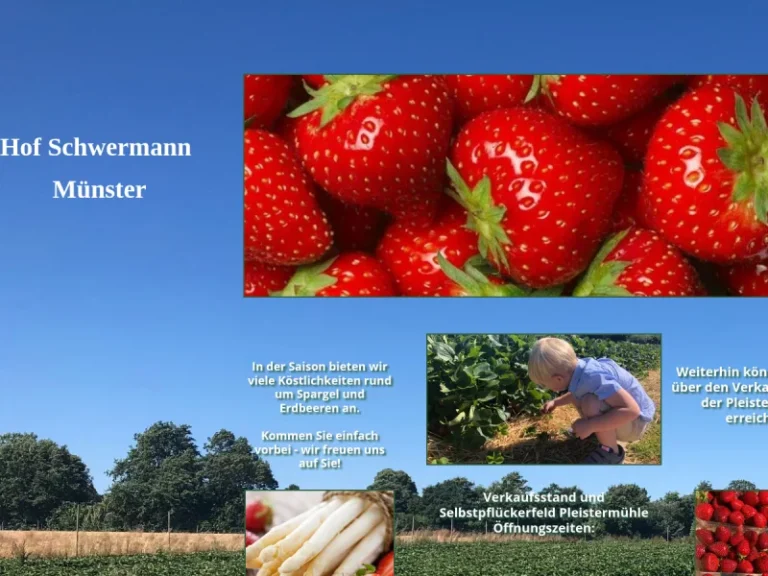 Erdbeerfeld Schwermann - Nordrhein-Westfalen in Münster